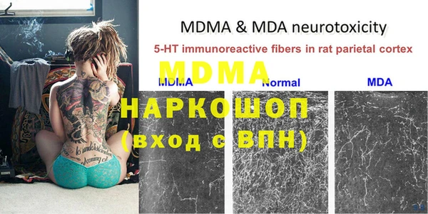 дмт Магас
