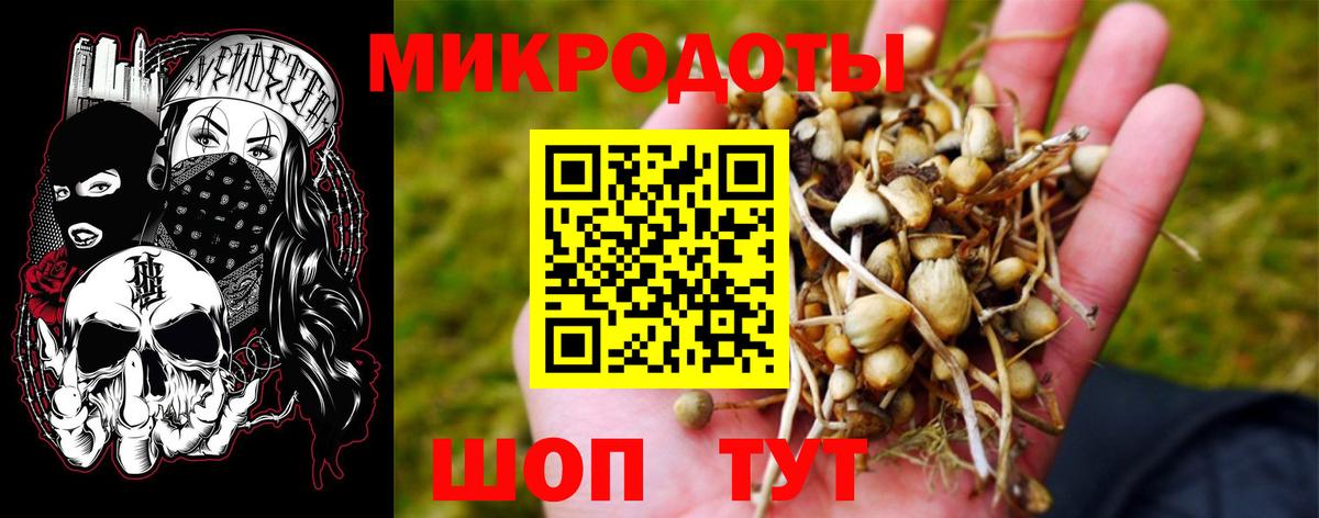 Псилоцибиновые грибы Psilocybe  Вход с VPN  Кимры 