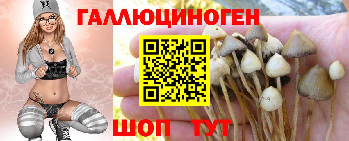 Галлюциногенные грибы Magic Shrooms Кимры