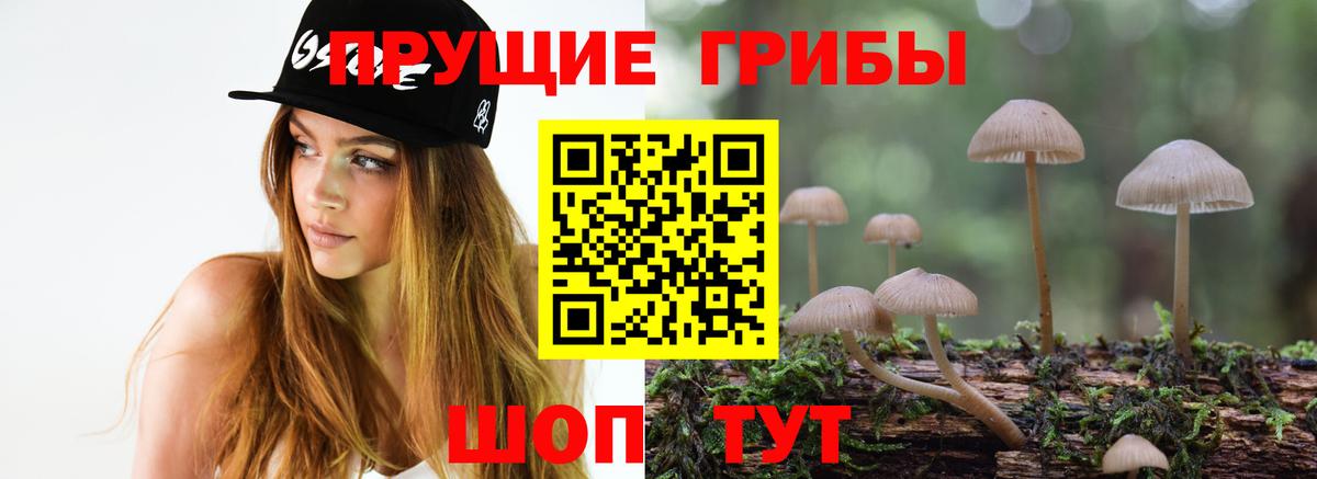 Псилоцибиновые грибы Magic Shrooms Кимры